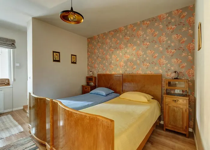 Cool Opera Kluż-Napoka