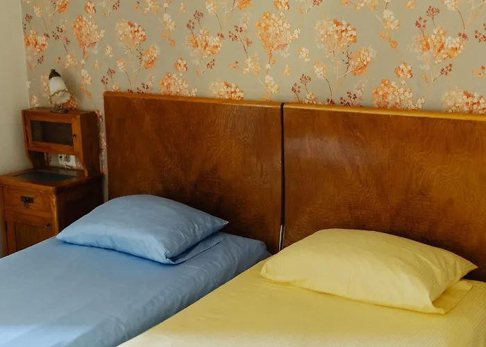 Cool Opera * קלוז'-נאפוקה